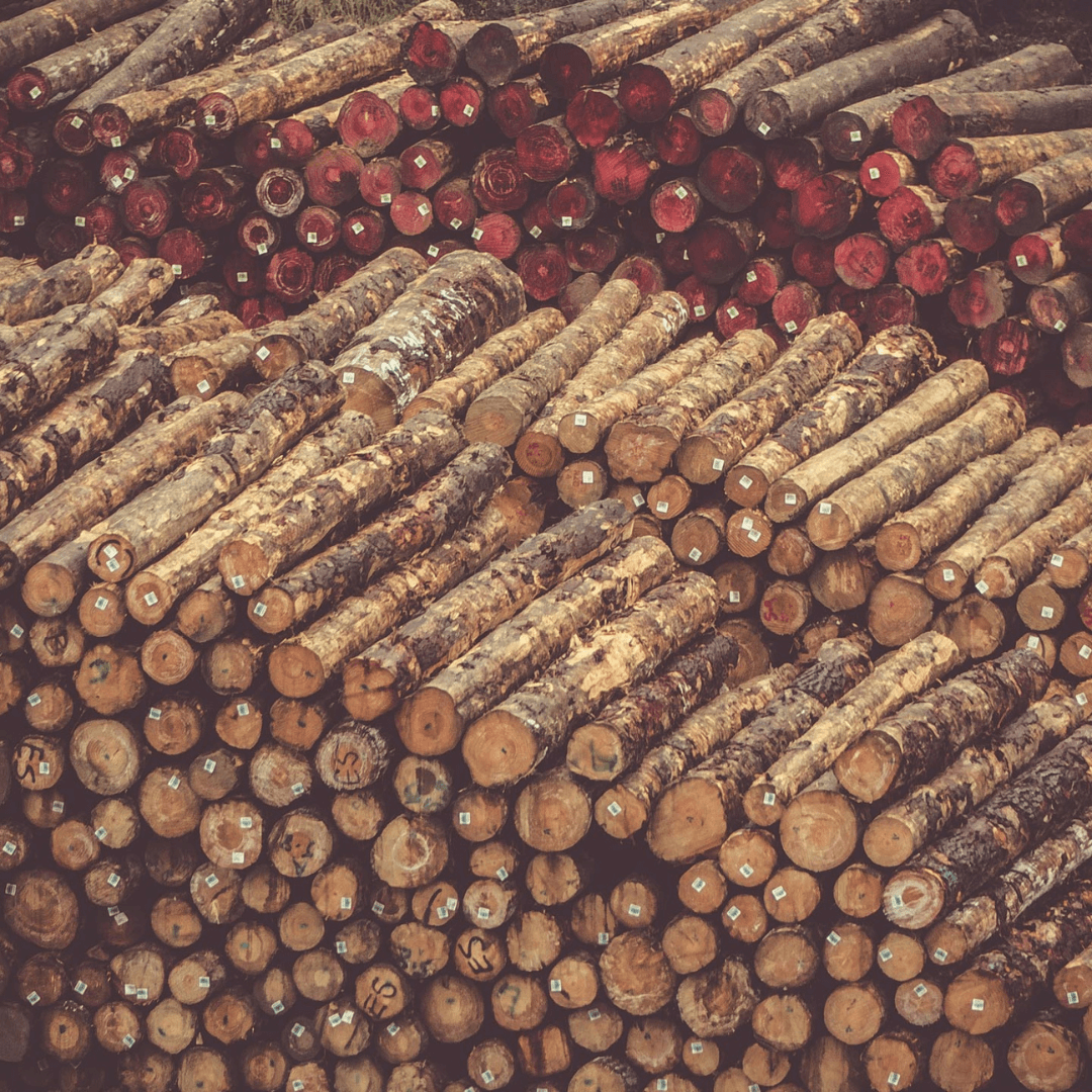 Wagner Lumber